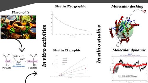 Natural flavonoids as promising lactate dehydrogenase A inhibitors: Comprehensive in vitro and in silico analysis