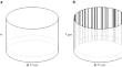 Looks like home: numerosity, but not spatial frequency guides preference in zebrafish larvae (Danio rerio)