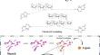 Insights in the adsorption of eco-friendly starch hydrogel