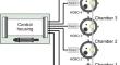 Effects of Diel Oxygen Cycling and Benthic Macrofauna on Sediment Oxygen Demand