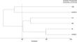 Distribution and development patterns in sea stars (Echinodermata: Asteroidea) of the Subantarctic Southern Atlantic