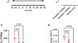 The Acute Impact of Propofol on Blood-Brain Barrier Integrity in Mice.