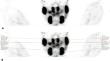 Tubarial salivary glands show a low relative contribution to functional salivary gland tissue mass.