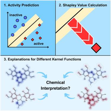 Machine learning models with distinct Shapley value explanations decouple feature attribution and interpretation for chemical compound predictions