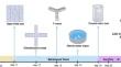 Exploring the neuroprotective role of melatonin against nickel-induced neurotoxicity in the left hippocampus