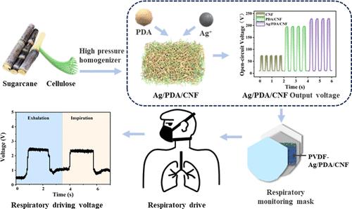Wood Fiber-Based Triboelectric Material with High Filtration Efficiency and Antibacterial Properties and Its Respiratory Monitoring in Mask