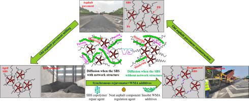 Diffusion mechanism explorations on the sustainable warm mix asphalt and synchronous rejuvenated SBS-modified asphalt binder using the free volume theory