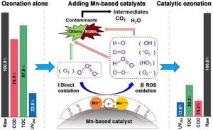 Effective advance treatment of secondary effluent from industrial parks by the Mn-based catalyst ozonation process