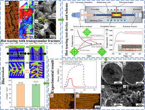 Hot Tearing of Steel Under Different Dendritic Growth Directions