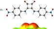 Exploring host–guest interactions of bis(4-nitrophenyl)squaramide with halide anions: a computational investigation in the gas-phase and solution