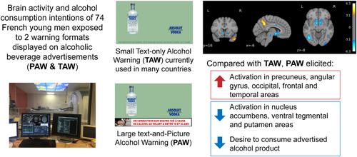 Impact of text-only versus large text-and-picture alcohol warning formats: A functional magnetic resonance imaging study in French young male drinkers