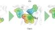 Ligand-Induced Variability of the FtsZ Protein Interdomain Site Pocket