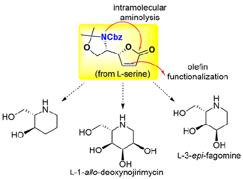 Stereoselective Synthetic Routes to Iminosugars: A Divergent Approach Utilizing a Common Multifunctional Chiral Scaffold