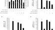 Anti-inflammatory and skin barrier regulation of cyanin chloride in TNF-α/IL-17A/IFN-γ-induced HaCaT psoriasis model