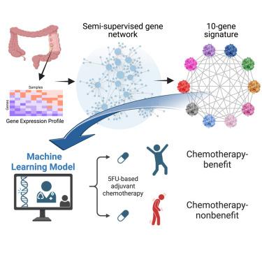 Discovery and validation of a 10-gene predictive signature for response to adjuvant chemotherapy in stage II and III colon cancer.