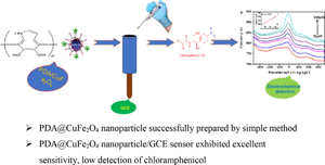 Polydopamine-wrapped copper ferrite nanoparticle electrochemical sensor for detection of chloramphenicol