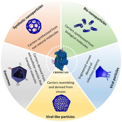 Exploring Advanced CRISPR Delivery Technologies for Therapeutic Genome Editing