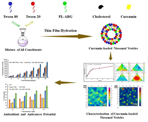 Development and characterization of palmitoyl-modified arginine containing curcumin-loaded niosomal vesicles for improved antioxidant and anticancer activities