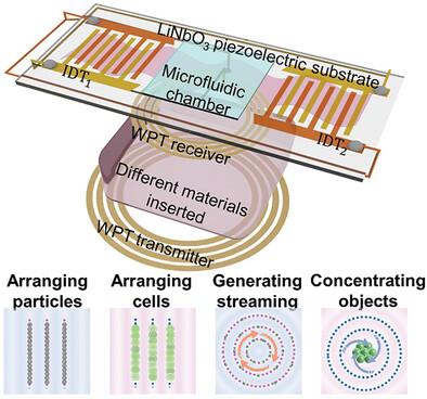 Wireless Frequency‐Multiplexed Acoustic Array‐Based Acoustofluidics