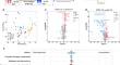 Differential short-term and long-term metabolic and cytokine responses to infection of severe fever with thrombocytopenia syndrome virus