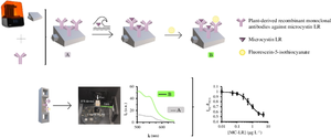 Modulable 3D-printed plantibody-laden platform enabling microscale affinity extraction and ratiometric front-face fluorescence detection of microcystin-LR in marine waters