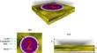 Design and Analysis of a Plasmonic Metasurface-Based Graphene Sensor for Highly Sensitive and Label-Free Detection of COVID-19 Biomarkers