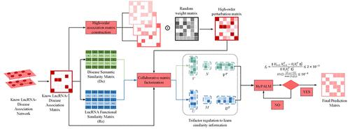 HPTRMF: Collaborative Matrix Factorization-Based Prediction Method for LncRNA-Disease Associations Using High-Order Perturbation and Flexible Trifactor Regularization.