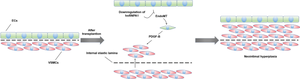 HnRNPA1 Prevents Endothelial-to-mesenchymal Transition-induced VSMC Activation and Neointimal Hyperplasia in Vein Grafts.