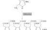 Creation of Heme and Hemoglobin Producers Based on Microorganisms