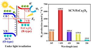 Experimental and theoretical investigation of sulfur-doped g-C3N4 nanosheets/FeCo2O4 nanorods S-scheme heterojunction for photocatalytic H2 evolution