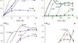 Genomics and taxonomy of the glyphosate-degrading, copper-tolerant rhizospheric bacterium Achromobacter insolitus LCu2.