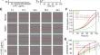 C-phycocyanin reinforces autophagy to block pulmonary fibrogenesis by inhibiting lncIAPF biogenesis.