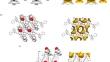 The host behaviour of 9-phenyl-9 H-xanthene derivatives in mixtures of cyclohexanone and the methylcyclohexanone isomers