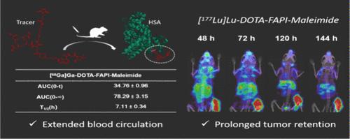 Development and Evaluation of DOTA-FAPI-Maleimide as a Novel Radiotracer for Tumor Theranostic with Extended Circulation.