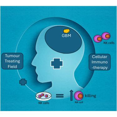 Tumor-treating fields increase cytotoxic degranulation of natural killer cells against cancer cells