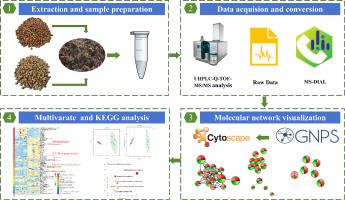 Identifying distinct markers in two Sorghum varieties for baijiu fermentation using untargeted metabolomics and molecular network approaches