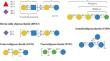 Food carbohydrates in the gut: structural diversity, microbial utilization, and analytical strategies