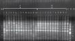 Effect of Environmental Factors on Recombinant Activity of Root Nodule Bacteria