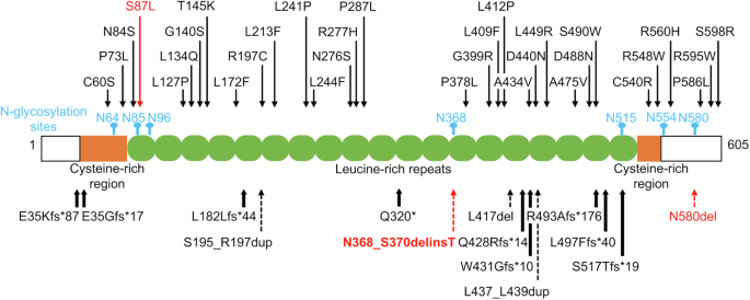 Homozygous 6-bp deletion of IGFALS in a prepubertal boy with short stature.