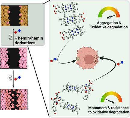 Facile Synthesis of Hemin Derivatives with Modulated Aggregation Behaviour and Enhanced Nitric‐Oxide Scavenging Properties as New Therapeutics for Breast Cancer