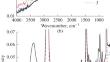 Plasma-Chemical Modification of Polyethylene Surface for Copolymerization with Diallyldimethylammonium Chloride