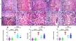 Platelet-Rich Plasma (PRP) Mitigates Kidney Dysfunction in Alloxan-Induced Diabetic Mice via Modulation of Renal Iron Regulatory Genes.