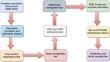 Green Energy Dynamics: Exploring the Nexus Between Renewable Energy Utilization and Environmental Quality in the Middle East and North Africa