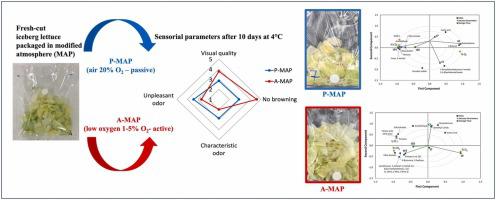 Untargeted volatolomic approach for the identification of sensory quality markers of fresh-cut iceberg lettuce stored in modified atmosphere packaging