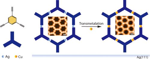 Transmetalation in Surface-Confined Single-Layer Organometallic Networks with Alkynyl-Metal-Alkynyl Linkages.