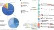 Genetic Testing in Patients with Autoimmune Lymphoproliferative Syndrome: Experience of 802 Patients at Cincinnati Children's Hospital Medical Center.