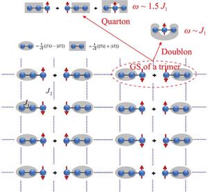 Magnon, doublon and quarton excitations in 2D S=1/2 trimerized Heisenberg models