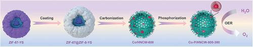 Core–Shell Co‐CoxP Nanoparticle‐Embedded N‐Doped Carbon Nanowhiskers Hollow Sphere for Efficient Oxygen Evolution Electrocatalysis