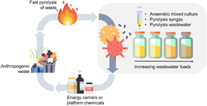 Energy recovery from syngas and pyrolysis wastewaters with anaerobic mixed cultures