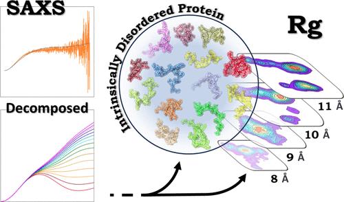 Deeper Insight of the Conformational Ensemble of Intrinsically Disordered Proteins.